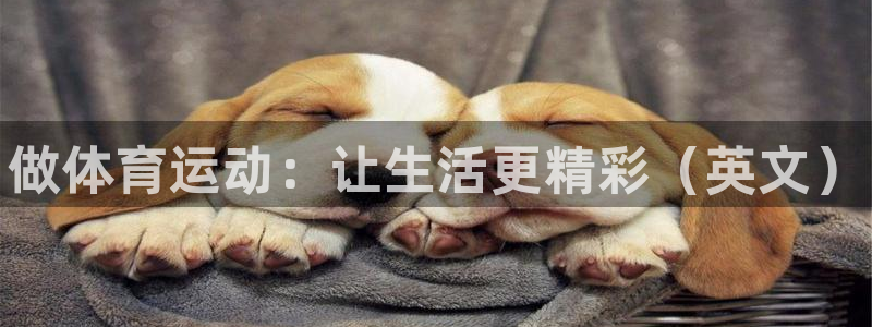 MK体育官网下载娱乐