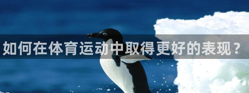 MK体育官网下载是干嘛的公司：如何在体育运动中取得更