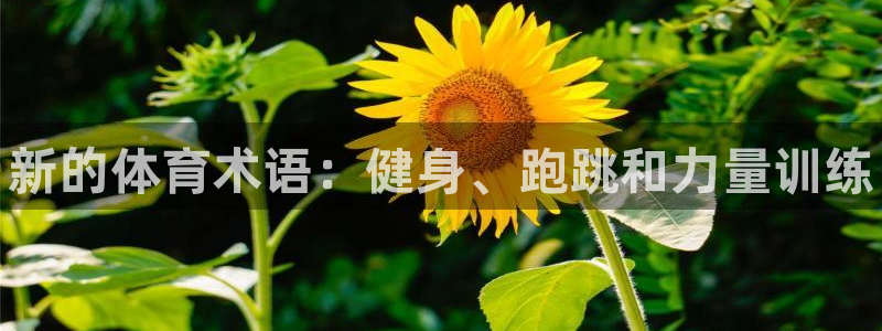 MK体育官网下载软件