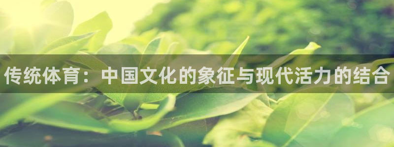 德国MK体育官方正版app集团：传统体育：中国文化的
