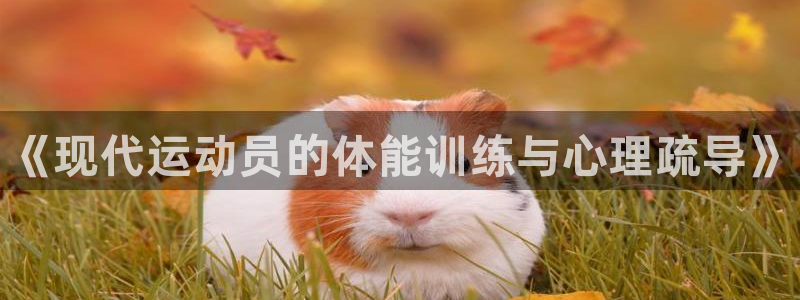 MK体育官方正版app娱乐首页网站大全：《现代运动员