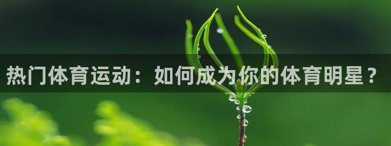 MK体育官网下载平台：热门体育运动：如何成为你的体育