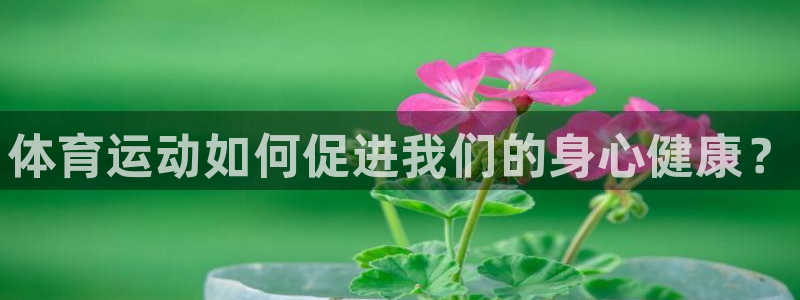 MK体育官网下载招商电话是多少号码