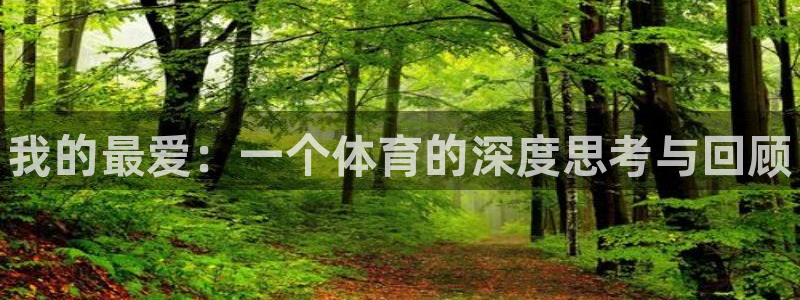 MK体育官网下载招商：我的最爱：一个体育的深度思考与回顾