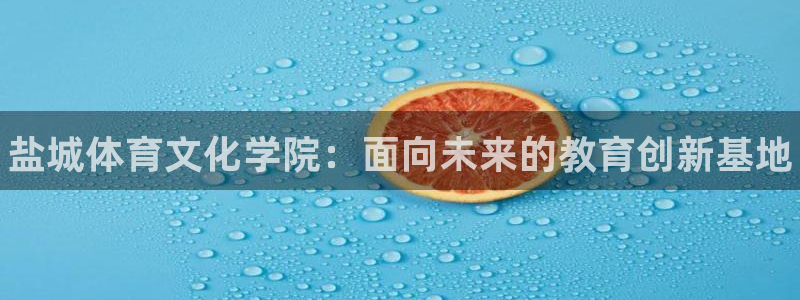 MK体育官方正版app代理