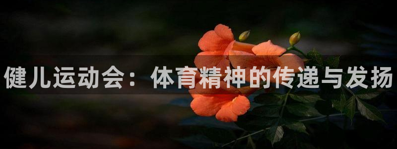 MK体育官方平台体育