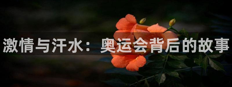 MK体育官方正版app集团E.ON：激情与汗水：奥运会背后的