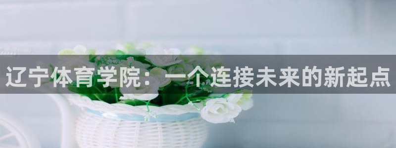 MK体育官网下载平台是正规平台吗：辽宁体育学院：一个连接未来